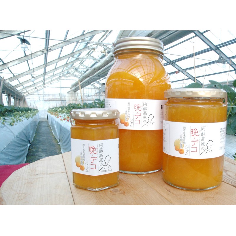 Aso Highlands Night Deco Jam 14.1 oz (400 g)