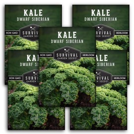 5 Packs Dwarf Siberian Kale Seed for Planting - Packet with Instructions to Grow Ornamental or Delicious Edible Kale in Your Home Vegetable Garden - Non-GMO Heirloom Variety - Survival Garden Seeds