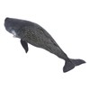 Realistic Sperm Whale Replica Simulated Marine Animal Model Educational Collector