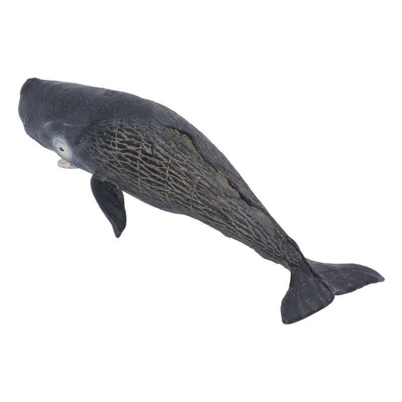Realistic Sperm Whale Replica Simulated Marine Animal Model Educational Collector