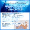 タラソドブルターニュ アルグマリンソルト 850g