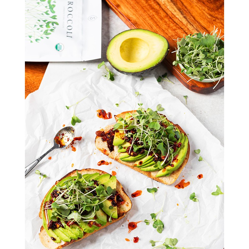 Organic Broccoli Sprout Seeds (8 oz) – Non-GMO, Heirloom Seeds