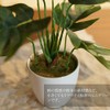 Kobe Flower Story MH-1003 Faux Green Mini Monstera Pot, Height