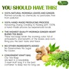 TOG999, Permium Moringa Ginger Herbal Tea – 120 Tea Bags
