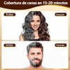Chestnut Brown Hair Dye Shampoo 3 en 1, Champú Tinte