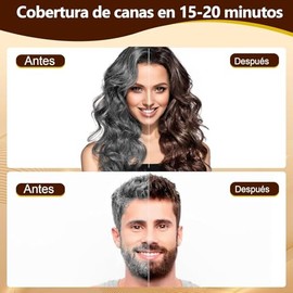 Chestnut Brown Hair Dye Shampoo 3 en 1, Champú Tinte para Cabello Marrón con Ingredientes Herbales, Cobertura de Canas, 500 ml