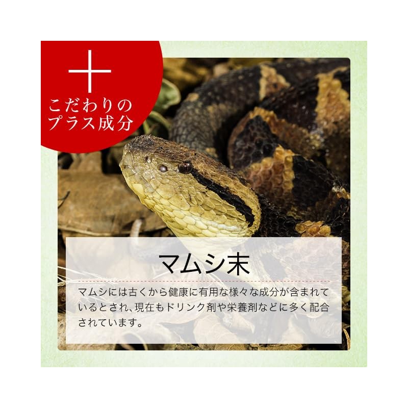 オーガランド (ogaland) トンカットアリ & アカガウクルア (360粒) サプリメント (亜鉛/マムシ末/L-シトルリン/L-オルニチン) スタミナ サプリ