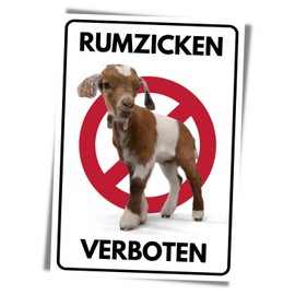 Rumzicken Prohibited Sign Funny Notice Prohibition Sign Woman Teenie Sign Warning Sign