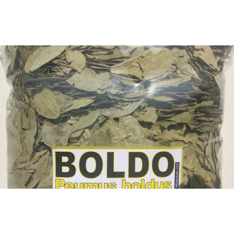 Boldo, Hojas de Boldo, Te de Boldo, Peumus boldus, Boldo