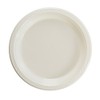 9" Ivory plastic plates (10)