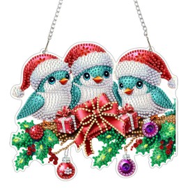 Christmas Diamond Art Hanging Kits for Adults, Birds Diamond Painting Pendant Kits, DIY Acrylic 5D Special Shaped Crystal Diamonds Gem Art Painting Ornament for Home Wall Decor Gift
