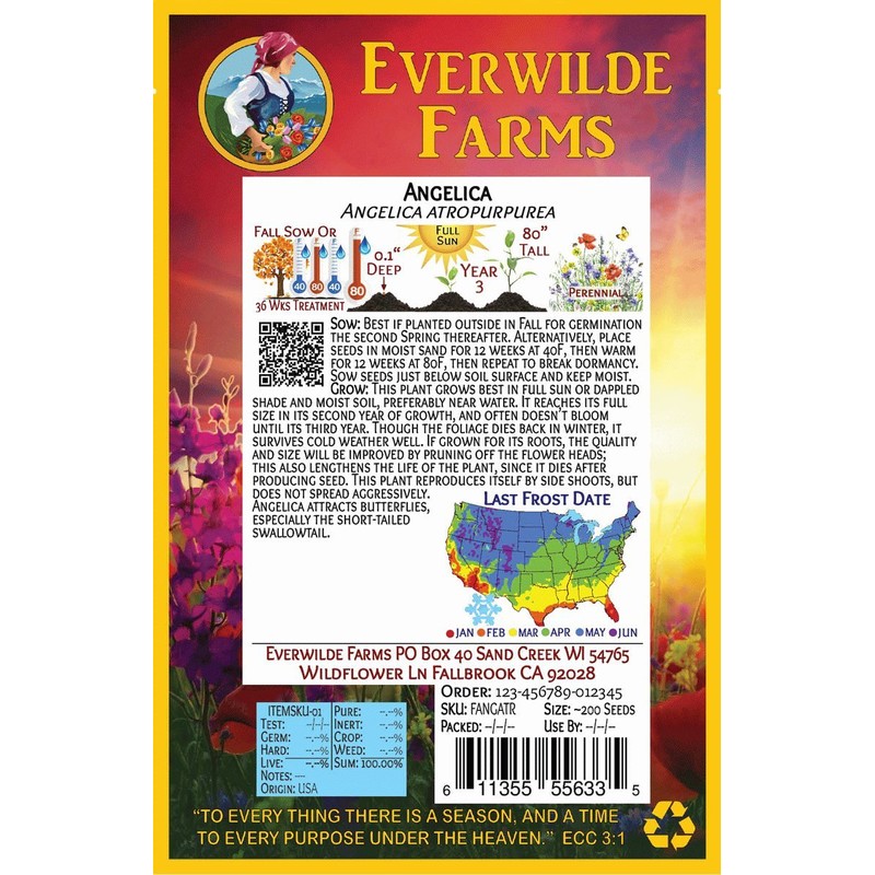 Everwilde Farms - 1 Oz Angelica Native Wildflower Seeds -