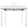 HOTEEL 10x10 Pop Up Canopy Tent with Awning(10 x 10