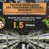 Ultra Fresh Shrimp Food, High Protein, Rich in Vitamins for