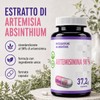 Hepatica Artemisinina | 250 mg | standardizzata al 98% |