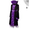 Witch Costume Fairytale Witch Deluxe Set Fancy Party Dress Up