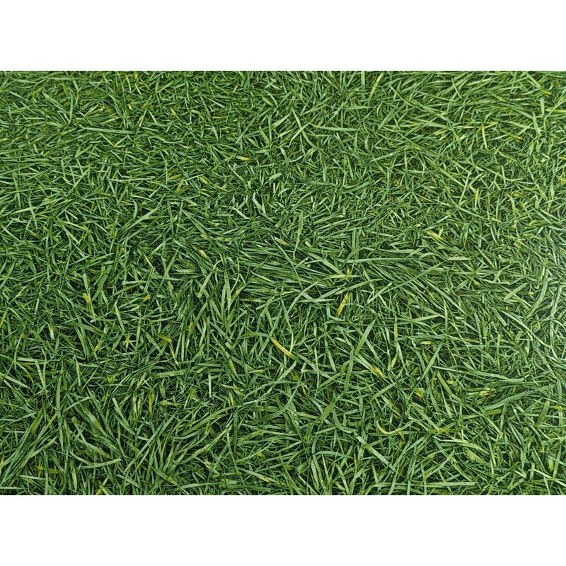 PVC flooring vinyl flooring in lawn look, DIN A4 sample
