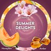 Air Wick Plug In Scented Oil Refill,Summer Delights, 10 ct