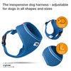 Basic Harness Air-Mesh Blue M