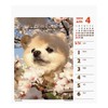 2024 Shunsuke (Weekly Turning Mini) Calendar No. 049