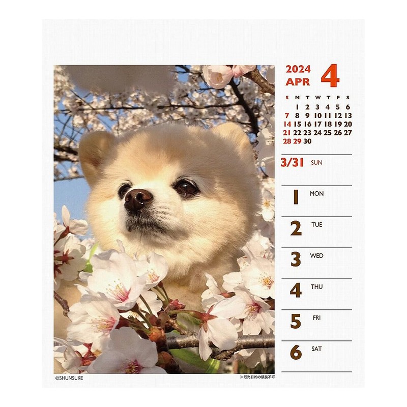 2024 Shunsuke (Weekly Turning Mini) Calendar No. 049