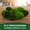 sphagnum-shop.com Bollenmoos preserved for moss pictures, decorative moss, premium quality,