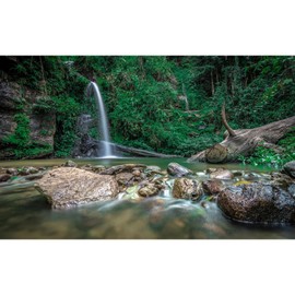 OHIOCATII Waterfall Aquarium Background Deep Forest Natural Landscape Terrarium Background Falls Green Jungle Plants Huge Rocks Fish Tank Background Rock Dead Wood Reptile Background Vinyl 24x12in