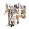 HERMA Lever Arch File Animals with Cats Motif, A4, 70