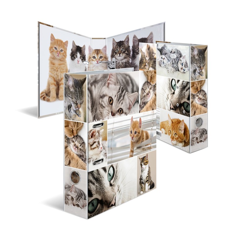 HERMA Lever Arch File Animals with Cats Motif, A4, 70