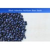 Serendipity Seeds Bean Seeds -Black Valentine Bean - 200 Heirloom