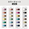 Copic Aclair Vivid 6 Color Set Water Marker Rollerball Pen