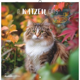Katzen 2026 - Broschürenkalender 30x30 cm (30x60 geöffnet) - Kalender mit Platz für Notizen - Cats - Bildkalender - Wandplaner - Katzenkalender: Cats