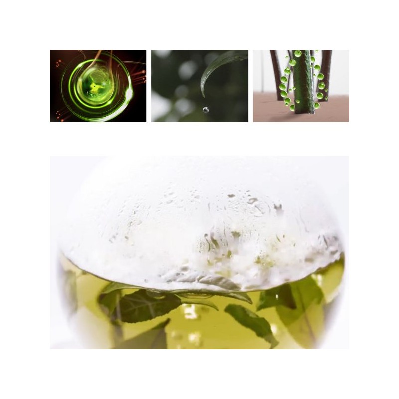 AMOS The Green Tea Essential Tonic 50ml