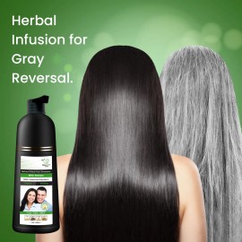 Champú Capilar A Base De Hierbas Sin Amoniaco - Cubre Eficaz