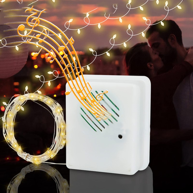 Pilipane Christmas Music Fairy Lights with Voice Sensor for Indoor