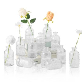 ROLLSCERAY Bud Vases Set of 12, Small Vases for Flowers, Glass Vases for Centerpieces, Small Flower Vases for Centerpieces, Mini Vases, Clear Bud Vases for Wedding Table Decor, Vintage Vases
