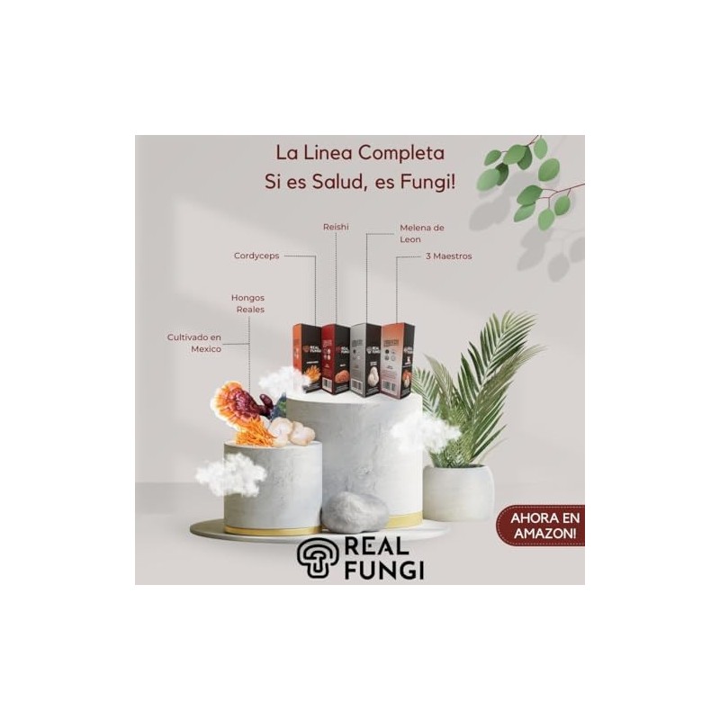 3 Maestros (Cordyceps, Reishi y Melena de Leon) Suplemento en