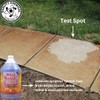 Quality Chemical's Rust Buster Stain Remover/Rust Reformer/Rust Neutralizer for Metal/Metal
