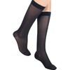Absolute Support - Made in USA Sheer Womans Support Knee-Hi