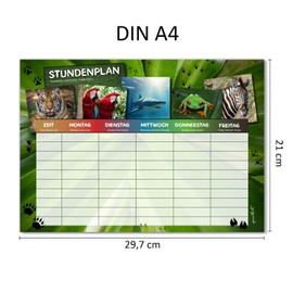 younikat dv_1224 Magnetic Wipe Clean Timetable I Wild Animals Colourful I Includes Pen I Rewritable I School I