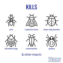 TERRO T1700SR 19 oz Outdoor Ant Killer Spray