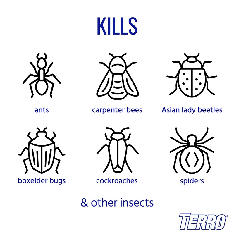 TERRO T1700SR 19 oz Outdoor Ant Killer Spray