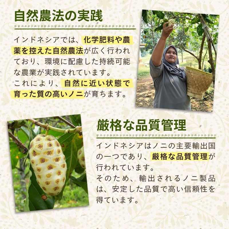 Seed Coms Noni Capsules, Approx. 6 Month Supply, 180 Tablets,