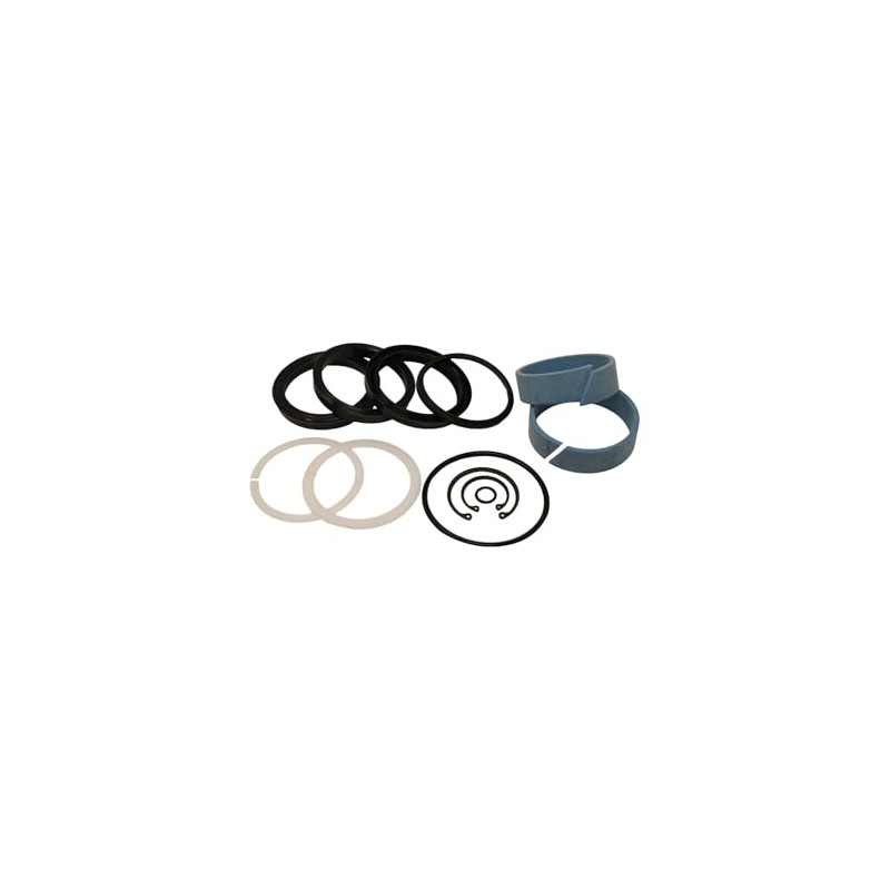 Aztec Hydraulics Replacement - Compatible with Seal Kit for Hyster