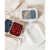 Jaju JAJU stainless steel square two compartment sharing cupboard_500ML, silver