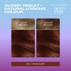 Clairol Nice'n Easy Tone+Gloss Semi Permanent Hair Dye - 550/81