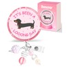 Besoar Nurse Badge Reel Retractable - Cute Dachshund Badge Reel