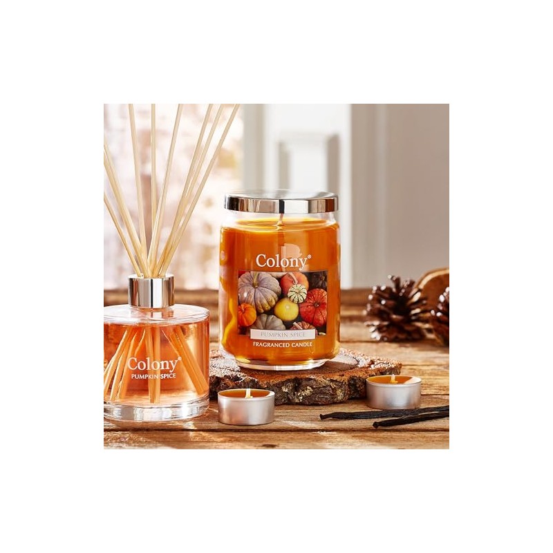 Colony Pumpkin Spice Large Jar, Up to 100hrs