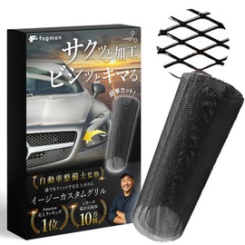 Fogman Front Grille Net, Mesh, Car, Aluminum, Custom, Universal, Mesh Width 0.16 x 0.31 in (4 x 8 mm) - 0.39 x 0.79 in (10 x 20 mm), 0.39 x 0.79 in (10 x 20 mm), Black
