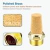 VIILOCK Brass Pneumatic Mufflers, 3/8" NPT Male Thread Hex Sintered